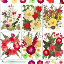 Resiners Dried Pressed Flowers 6 Pack for Resin, Soap, Candle, Craft, Jewelry