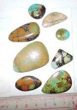 Turquoise Stone Flat Free Form Cabochon 179.5 Carat 8 pieces 35.9 gram