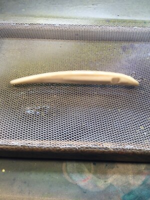 9  blank lure no hooks unknown brand