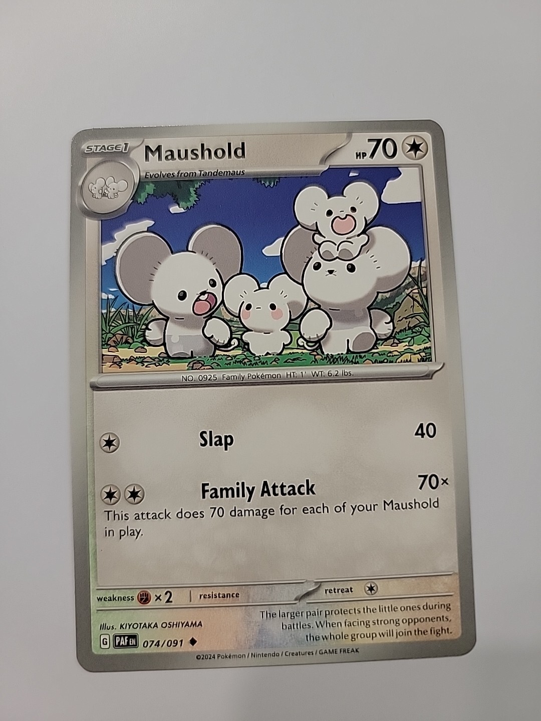 Maushold - 074/091 Paldean Fates Pokemon - NM/MINT