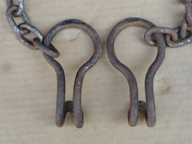 Picture 4 of 11