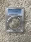 1934 D Peace Silver Dollar $1  PCGS MS63 Light Tone Superb Eye Appaeal