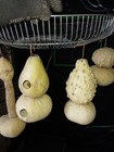 Foto 7 di 8