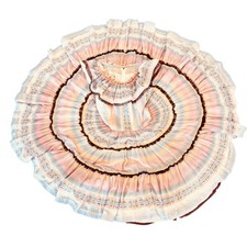 Vintage 70s Pink Sunset Square Dance Full Circle Rockabilly Western Dress M