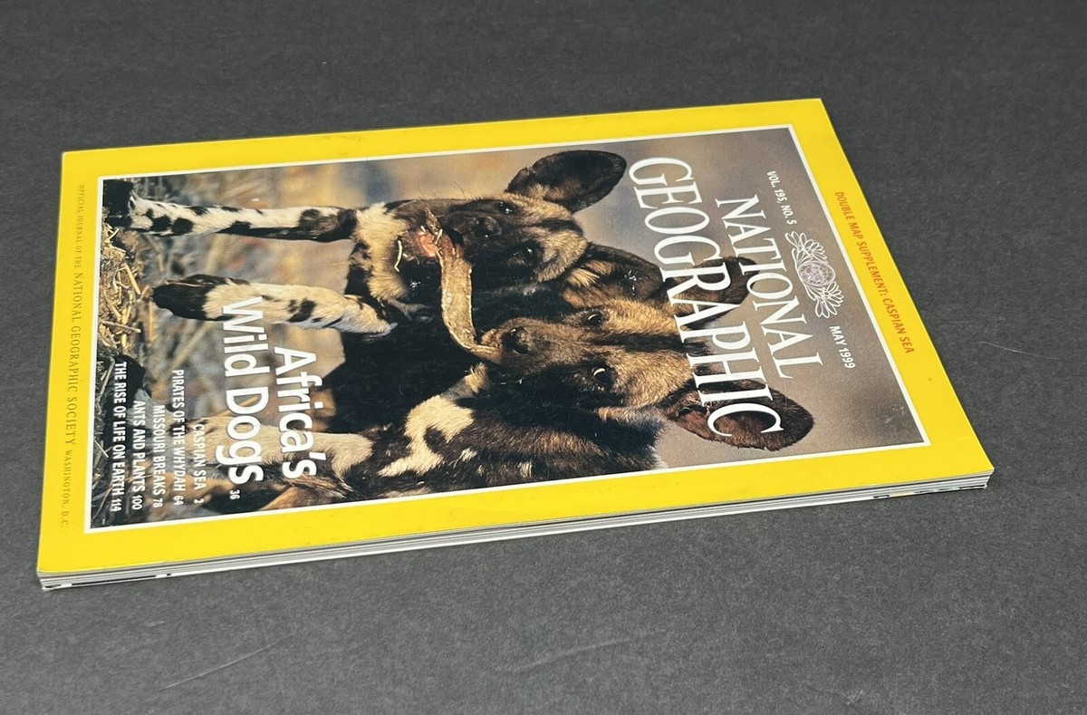 National Geographic Magazine May 1999 Africa's Wild Dogs Vol. 195