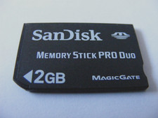 2GB Memory Stick PRO Duo Card Magicgate (2GB MS PRO Duo) SanDisk usato