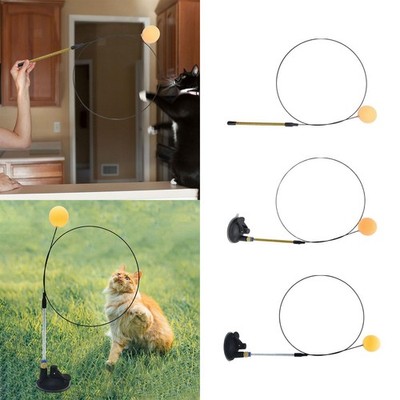 Toy Ball Cat Teaser Cats Catcher Exerciser Pet Supplies Interaktives