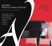 Maxime Zecchini Oeuvres Pour La Main Gauche V.3 (Cd)
