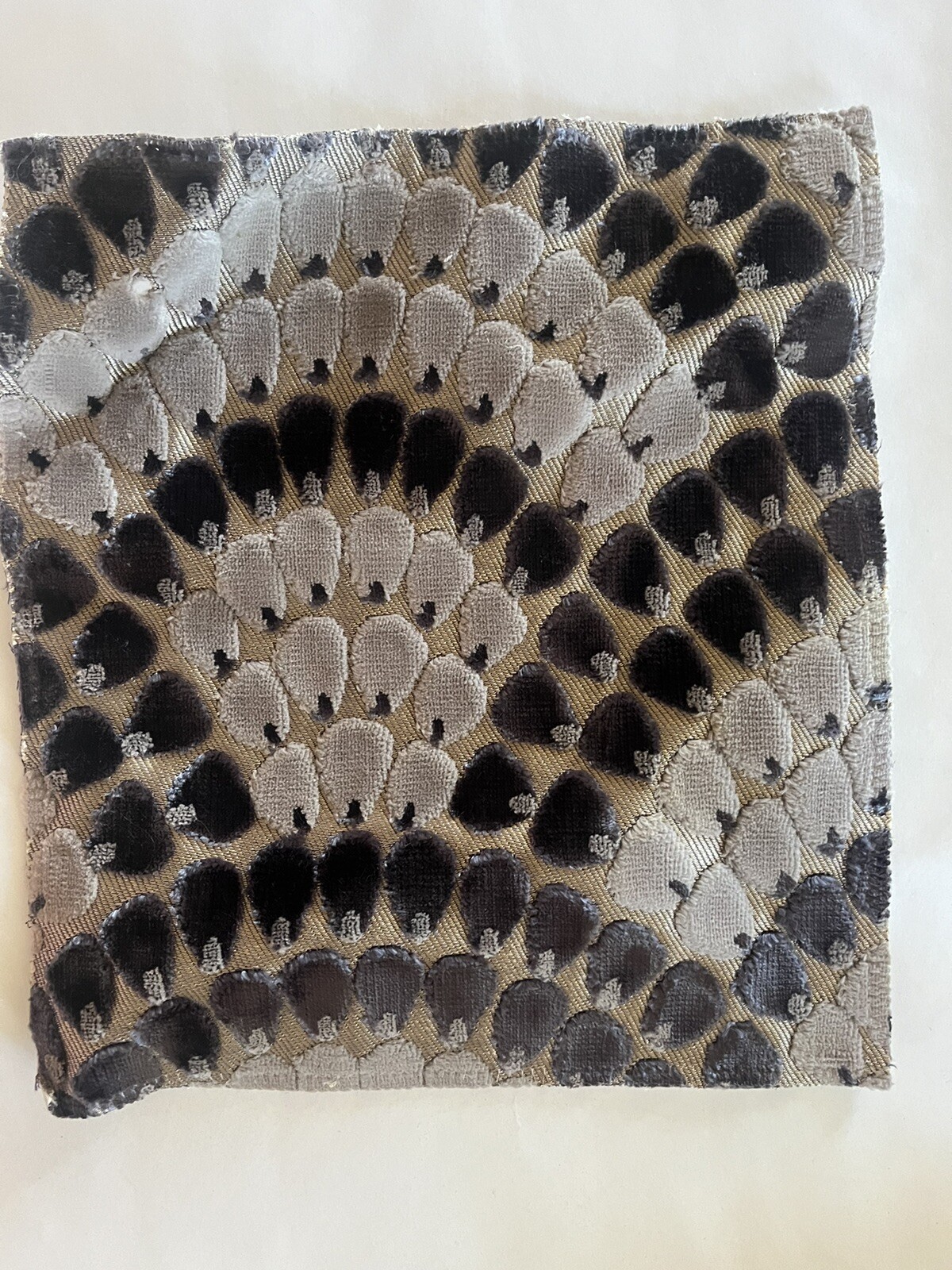 Picture 7 of 11