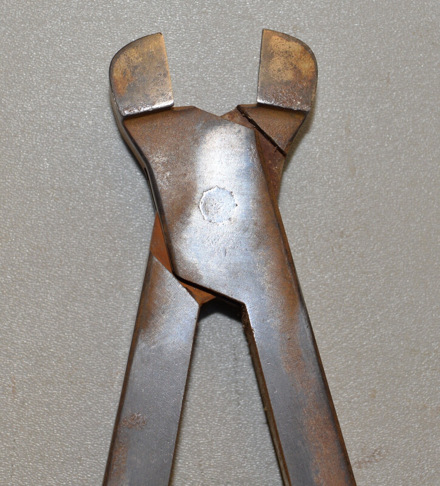 Quality H & C Chicago horse cow nipper cutter collectible lever action tool 