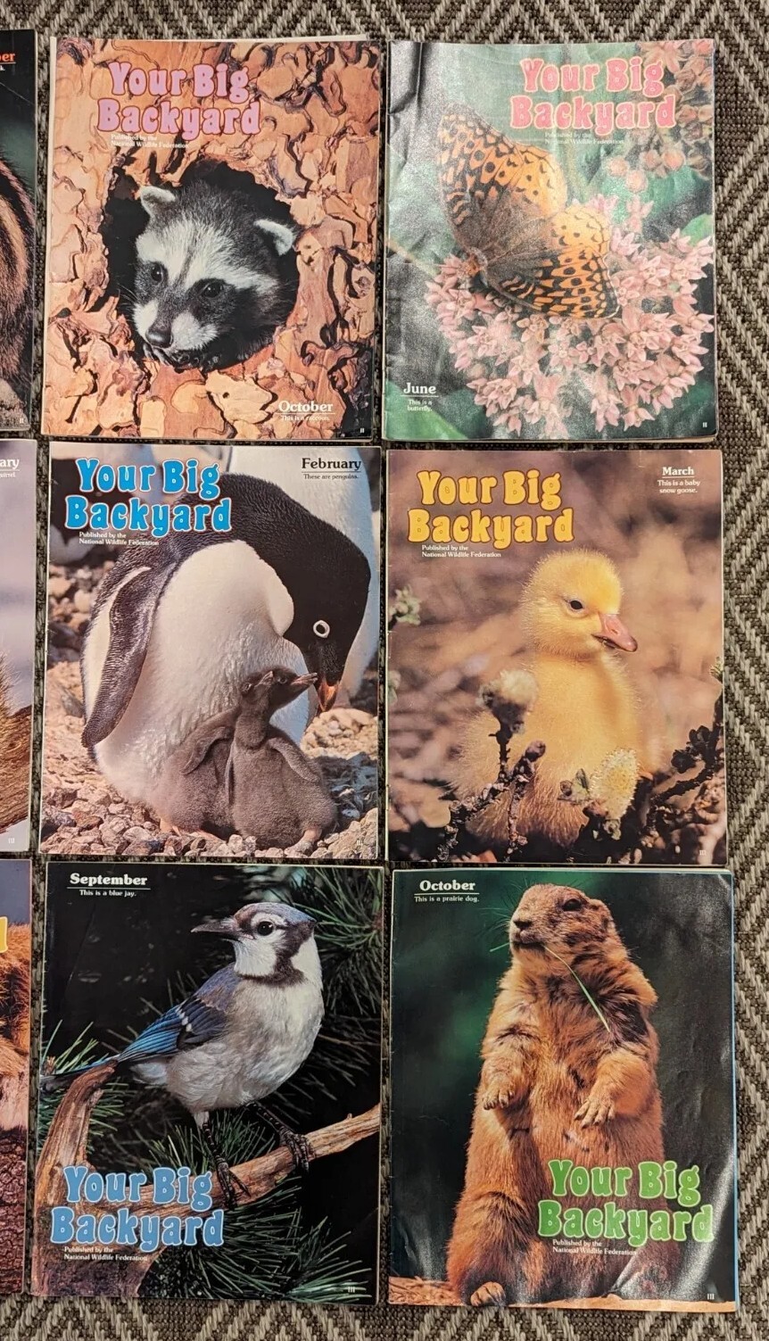 Vintage Lot Of 15 Your Big Backyard Magazines National Wildlife Fed