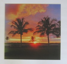 Palm Trees Day/Night 16x16 inch Lenticular Picture Michael Brown Signed 126/250