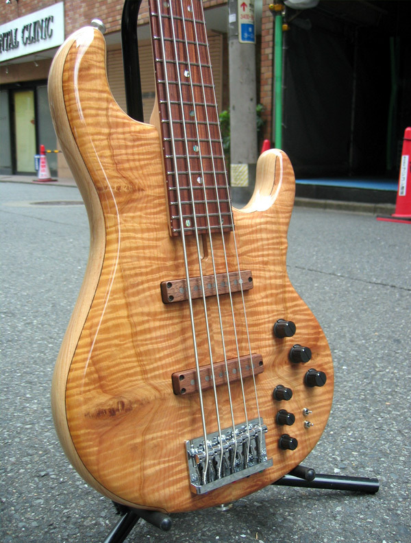 Dragonfly CS4/5 Custom: Order made by hand in Japan! | eBay
