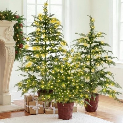 Cinnvoice Set of 3 2ft 3ft 4ft Pre-lit Twinkle Christmas Cypress Tree with 18...