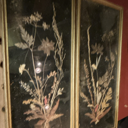 Pair of Framed Original Pressed Dried Flowers Art, MPN 3084