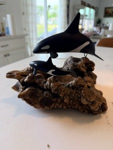 Vtg John Perry Orca Killer Whale Calf Baby Burl Wood Art Sculpture Marine Ocean 