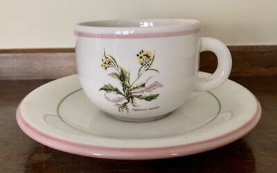 Primula Italy DIPLOTAXIS MURALIS Botanical Pattern Cup & Saucer Gift Quality