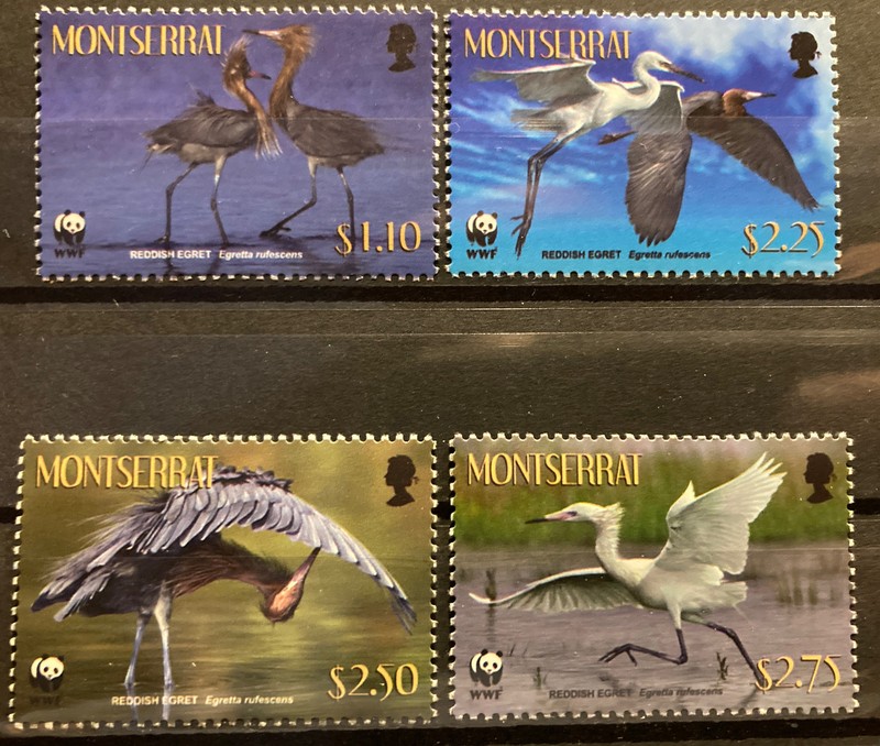 Montserrat,egret S.C.#1253(a-d), WWF MNH, Complete set of 4 as issued in 2010