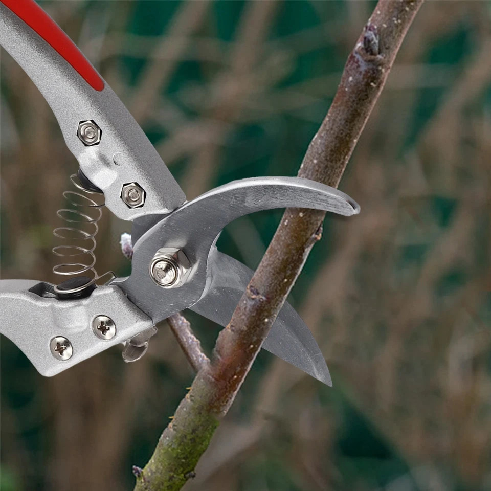 Enhanced 8 Inch Garden Shears with Comfortable Grip for Extended Tasks - Image 3 of 4
