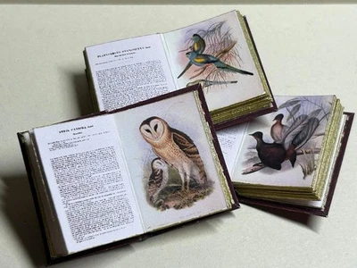 Miniature 1:12 Scale Dolls House Books 🦉 - Image 1 of 4