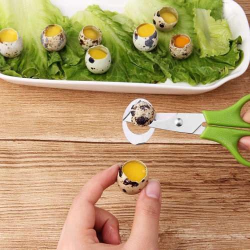 3Pcs Quail Egg Cutter Scissors Kitchen Egg Shears Tool (Green) - Picture 6 of 8