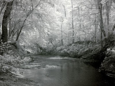 Photo:Scene near Rikard's Mill, near Beatrice, Alabama
