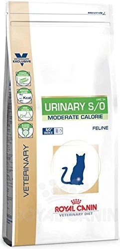 Nourriture Royal Canin pour chat