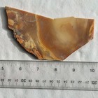 BRUNO JASPER SLAB ~67 grams/ rough agate cab rock — photo 9