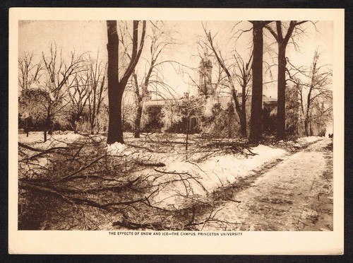 Antique Princeton University Photo Print - Picture 1 of 1