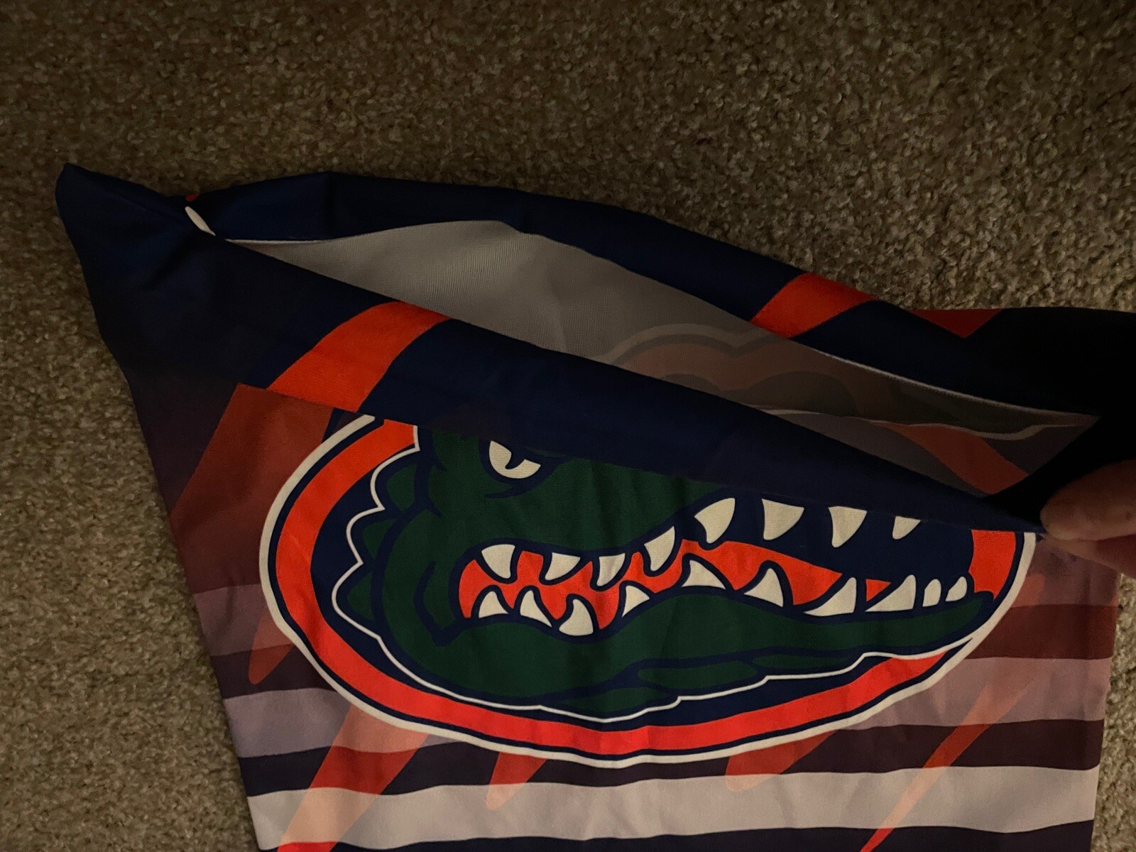 Picture 4 of 4