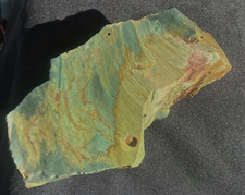 Gary Green Larsonite Jasper (Bog Wood) Extra Large Slab 314 Grams- 11 Oz Oregon