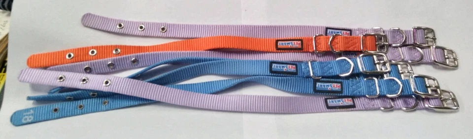 Hamilton PETSMART Nylon Dog Collar