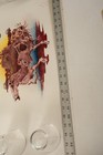 Bild 6 von 9