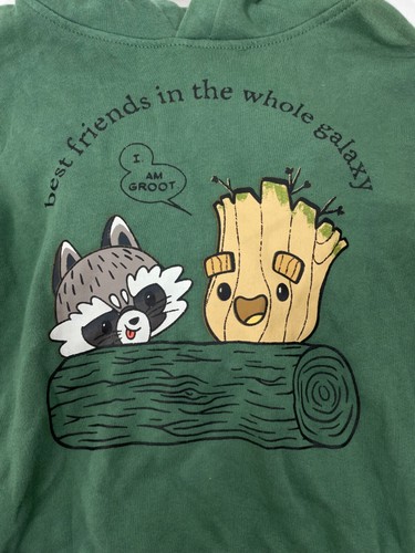 Disney Marvel Guardians Of The Galaxy Rocket Raccoon And Groot Hoodie Boys 4 - Picture 3 of 10