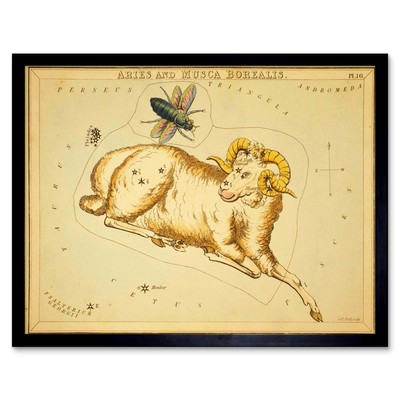 Gemälde Zeichnung Stern Karte Widder Widder Käfer Sternbild 12 x 16 Zoll gerahmter Druck