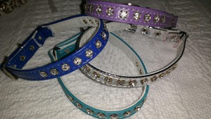 gemstone cat collar