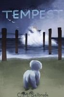 C. M. Selbrede | The Valley Chronicles | Taschenbuch | Englisch (2019) | Tempest