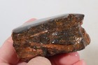 Morocco Yellow Jacket Jasper lapidary 10.4 oz. windowed rough lot P5 — photo 8
