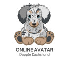 Webkinz Classic Dapple Dachshund Pet Code Only