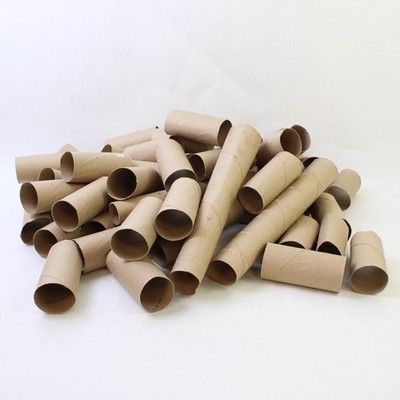 Lot of 57 Toilet Paper & Paper Towel Rolls Cardboard Tubes DIY Crafts