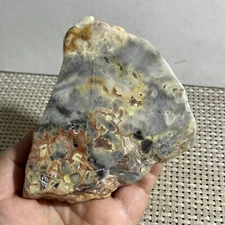 386g Natural Mexican Crazy Lace Agate Rough Specimen Healing h80