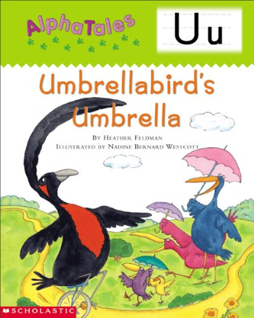 Colorful Umbrella Bird Childrens Book by Heather Feldman