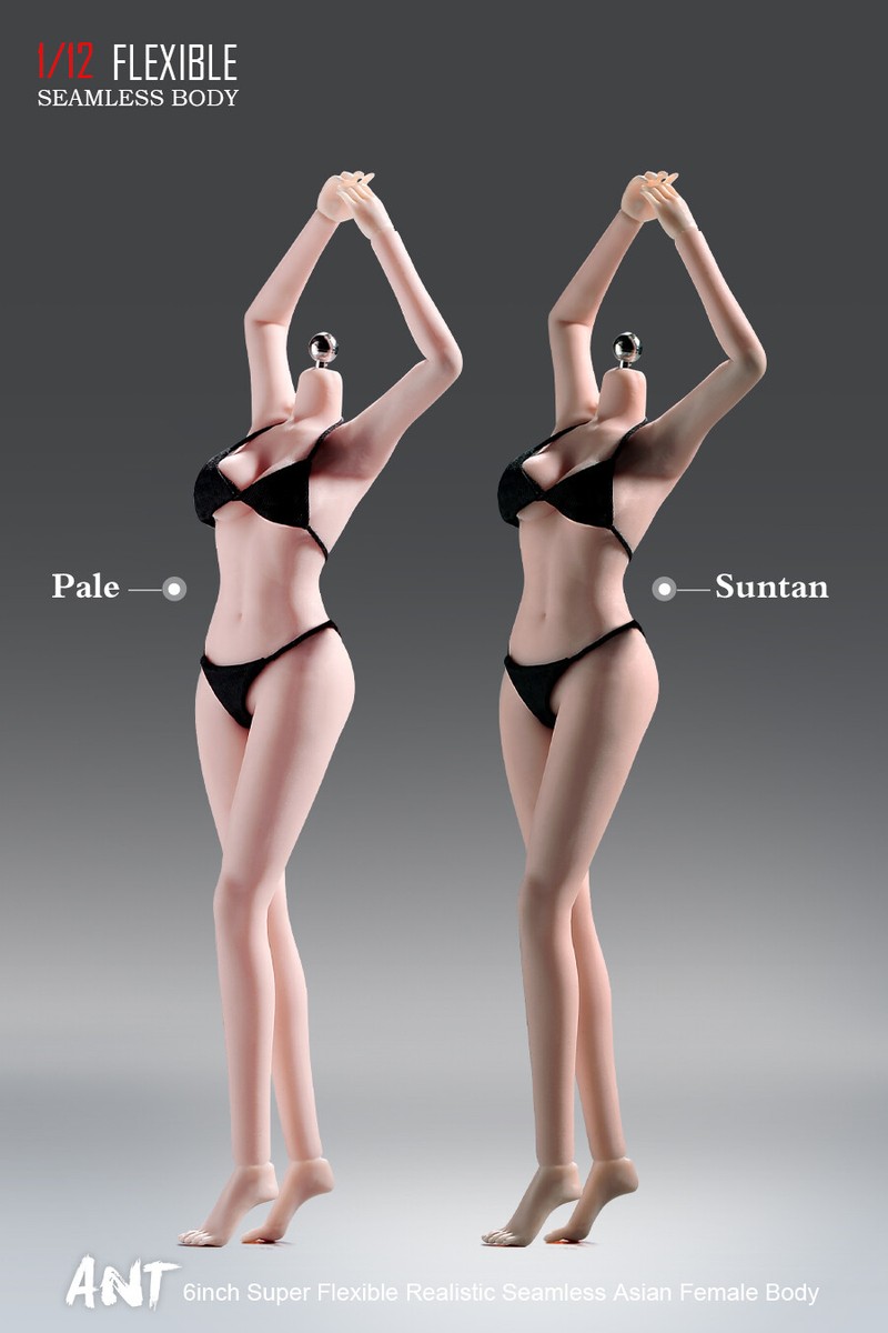 TBLeague+ANT BODY 1/12セット シームレス 人形 ANT 1/12 Flexible Seamless Female Suntan/Pale Mid Bust Body For 6