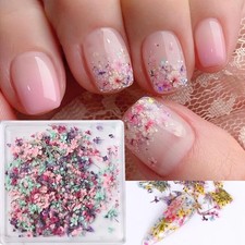 3D Dried Flowers for Nails, Spring Flower Nail Art Stickers 1Box Dried Flower...