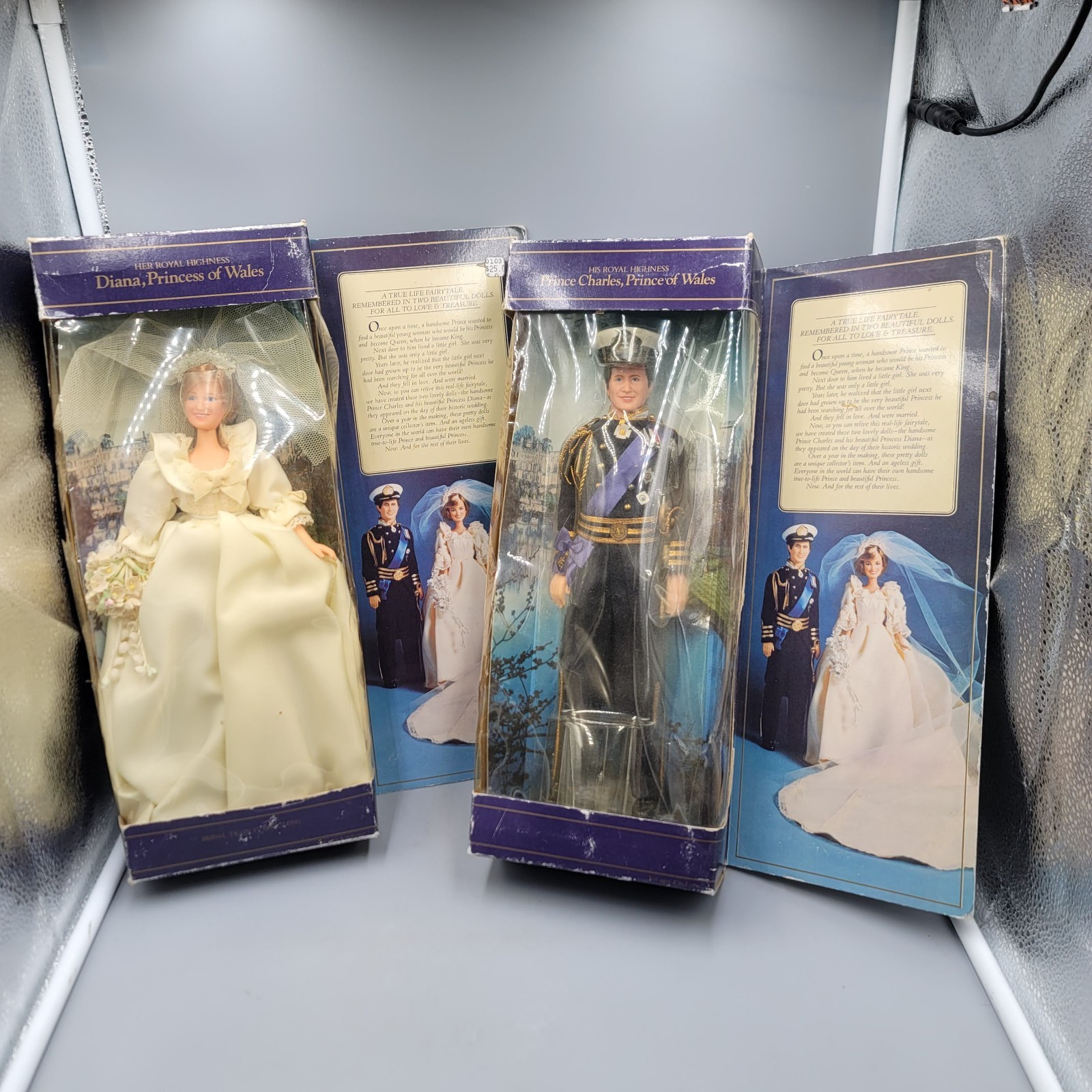 Set of 2 VTG 1982 Prince Charles and Princess Diana of Wales