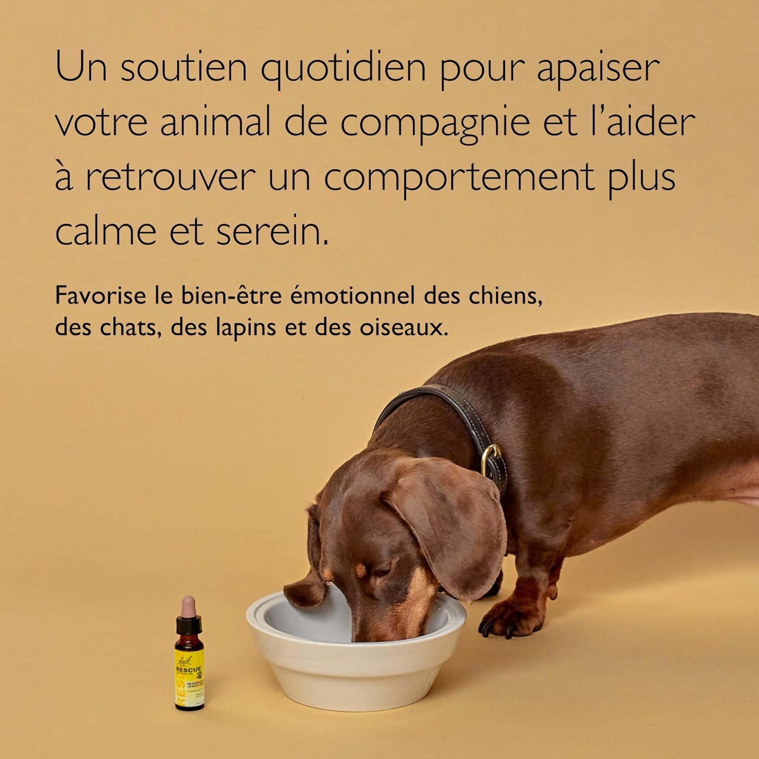 Compte-gouttes sérénité animaux pour les voyages et nuits calmes - 3