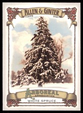 2021 Topps Allen & Ginter Arboreal Appreciation White Spruce #AA-4