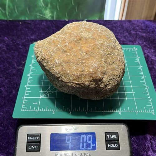 5-1/2” Unopened Geode Hollow Crystal Quartz Rattler Easy Break Your Own 4Lb LG - Picture 6 of 8