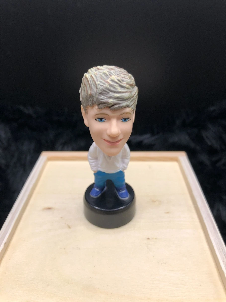 Mini Niall Horan