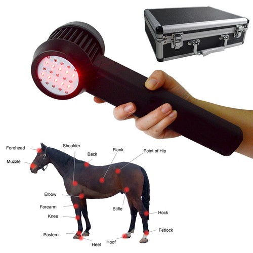 5000mW 10X650+15X808nm Class IV Cold Laser Red Light Therapy for Pain Pet Equine